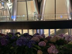 -% Arabica阿拉比卡咖啡(深圳湾万象城店)