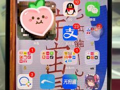 -Apple零售店(成都太古里店)