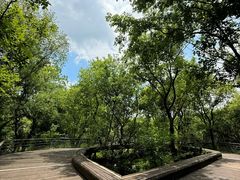 -西湖风景区-江洋畈生态公园