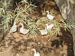 -中国移动南方基地