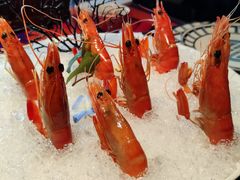 -上海滩餐厅(BFC外滩金融中心店)
