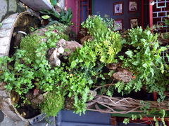 iphone_upload_pic-北京阅微庄四合院文化特色酒店
