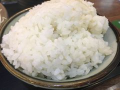 -犀牛家猪排