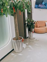 -联合丽格·张菡丽格医疗美容