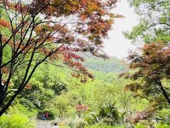 -白帝城·瞿塘峡景区