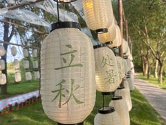 -泗洪洪泽湖湿地景区