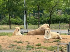 -秦皇岛野生动物园