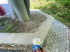 -卧龙中华大熊猫苑神树坪基地