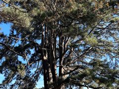 -终南山南五台景区