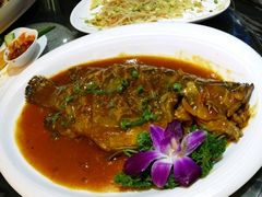 -绿野仙踪·印象(香樟名都店)