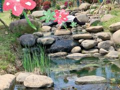 -南北湖风景区