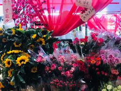 -越秀西湖花市(广州城市广场花卉店)