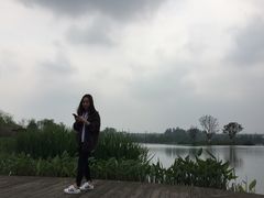 -白鹭湾湿地公园