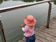 -永定河休闲森林公园