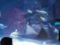 -沈阳海洋探索中心