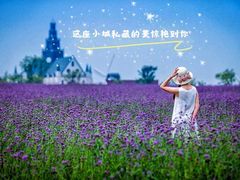 -荷兰花海
