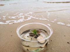 -青岛银沙滩温德姆至尊酒店