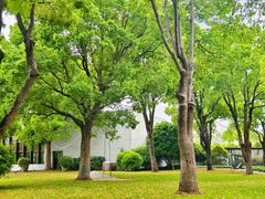 -养云安缦吧THE BAR