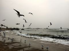 -老虎石海上公园