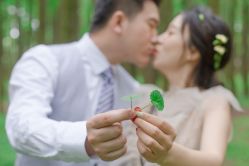 -四叶草环球旅拍