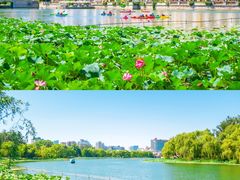 -朝阳公园