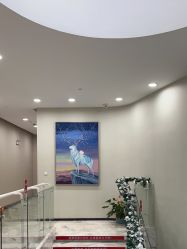 -上海漾颜医疗美容