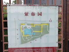 -嘉定紫藤园