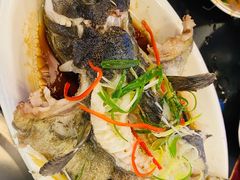 -冯姐生蚝(长隆横琴店)