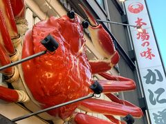 -蟹道乐(道顿堀本店)