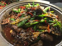 -猫头婴小酒馆FUN OWL(1912店)