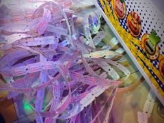 -汤姆熊欢乐世界(光启城店)