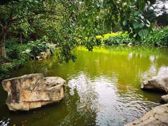 -云溪植物园