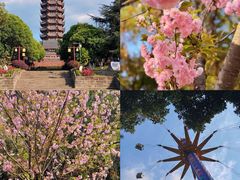 -塔子山公园