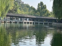 -团结湖公园