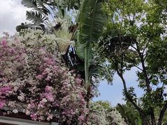 -深圳国际园林花卉博览园