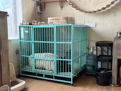 -小时光咖啡馆(开森度假森林店)