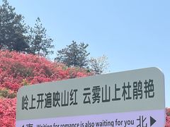 -木兰云雾山