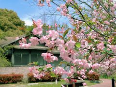 -金鸡湖桃花岛