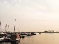 -青岛金沙滩