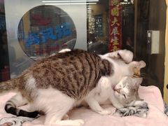 -谜盒子奇幻密室(南屏店)