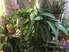-老宅原住民沙茶面精品小吃(龙头路店)