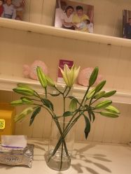 -北京俪婴妇产医院(朝阳大悦城店)