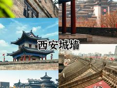 -秦始皇帝陵博物院(兵马俑)