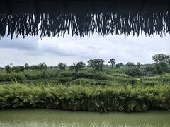 -泗洪洪泽湖湿地景区