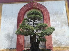 -南华禅寺