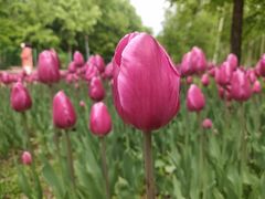 -长春公园(普阳街道)