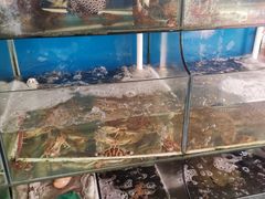 水产区-海门岛七号餐厅