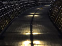 -福道