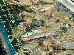 -好兄弟郭巨海鲜(天一阁店)