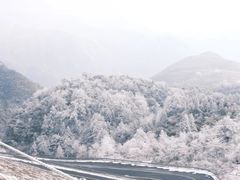 -湖州龙王山景区